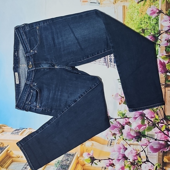Ag Adriano Goldschmied Low Waisted Stilt Crop Skinny Denim Jeans Size 27 - Picture 1 of 5